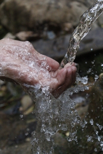 Canva - Person Cleaning Hands under Water